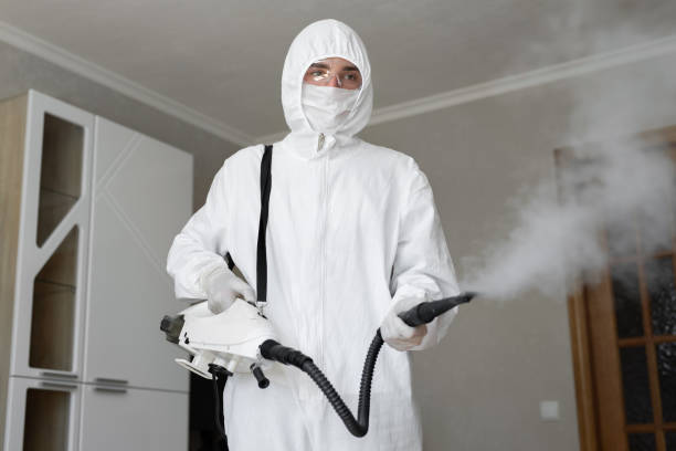 Best Mold Odor Removal Services  in Morristown, IN